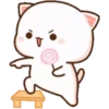 MOCHICAT#2 MOV 15