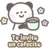 Pandita Cute 23