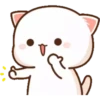 MOCHICAT#6 MOV 19
