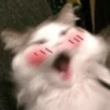 ㅣㅣㅣ