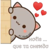 t
Ho
Holis...
que Ta Chendo
Cheche XR