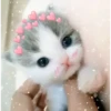Meow meow | Pikachu (part 3) 14