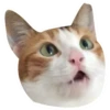 Kali Potato 17
