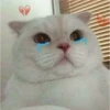 Meow meow | Pikachu (part 2) 25