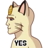 YES