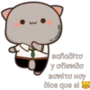 Cheche
Βαλαδίτσ
y oliendo
ВОИТО НОУ
PTT
dice que si