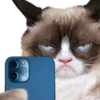 Gatos y Cats 21
