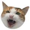 Kali Potato 18