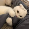 (nnnnnnw@