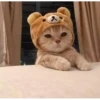 Meow meow | Pikachu！ (part 6) 25
