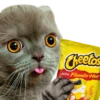 elos
Xtra Flamin Htot