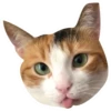 Kali Potato 19