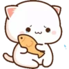 MOCHICAT#8 MOV 19