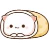 MOCHICAT#6 MOV 21