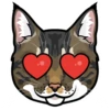 VES