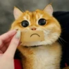 Meow meow | Pikachu！(part 11) 28