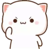 MOCHICAT#8 MOV 20