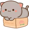 MOCHICAT#8 MOV 21
