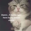 kitty♡︎sad 29