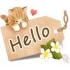 Hello
28