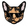 Tigra 5
