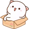 MOCHICAT#8 MOV 22