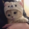Meow meow | Pikachu! (part 10) 29