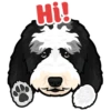 Hi!