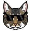 VES