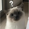 Meow meow | Pikachu！(part 11) 29