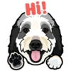 Hi!