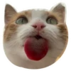 Kali Potato 20