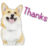 Thanks