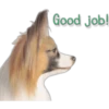 Good job!