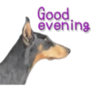 Good
evening