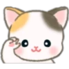 Cute baby cats 6