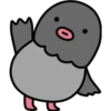 Black Bird 8