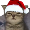 ️  Random Navideño   ️ 10