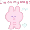 Cute Bunny   Pink   (C) 5