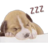 ZZZ