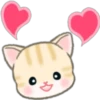 Cute baby cats 7