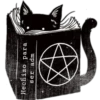 Cat black 5