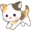 Cute baby cats 8