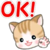 Cute baby cats 9