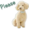 Please