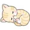 Cute baby cats 10