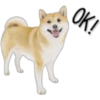 OK!