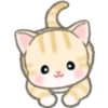 Cute baby cats 11