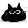 Cat black 9