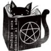 Cat black 10